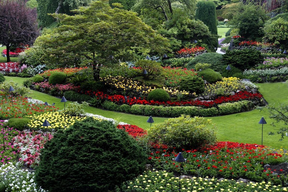 Stone pathway through a garden
